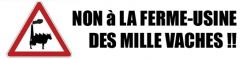 1000vaches.png