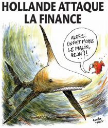 poissonrouge_hollande_requin.jpg