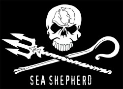 sea_shepherd_flag.jpg